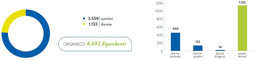 GRAFICO N. 34 – L’ARTICOLAZIONE DEL PERSONALE IN OTTICA DI GENERE (2017)